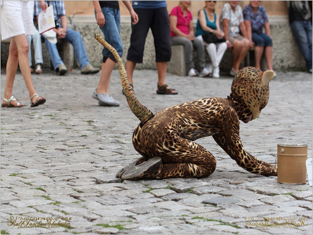 2.)CatWomans # 2 Outil