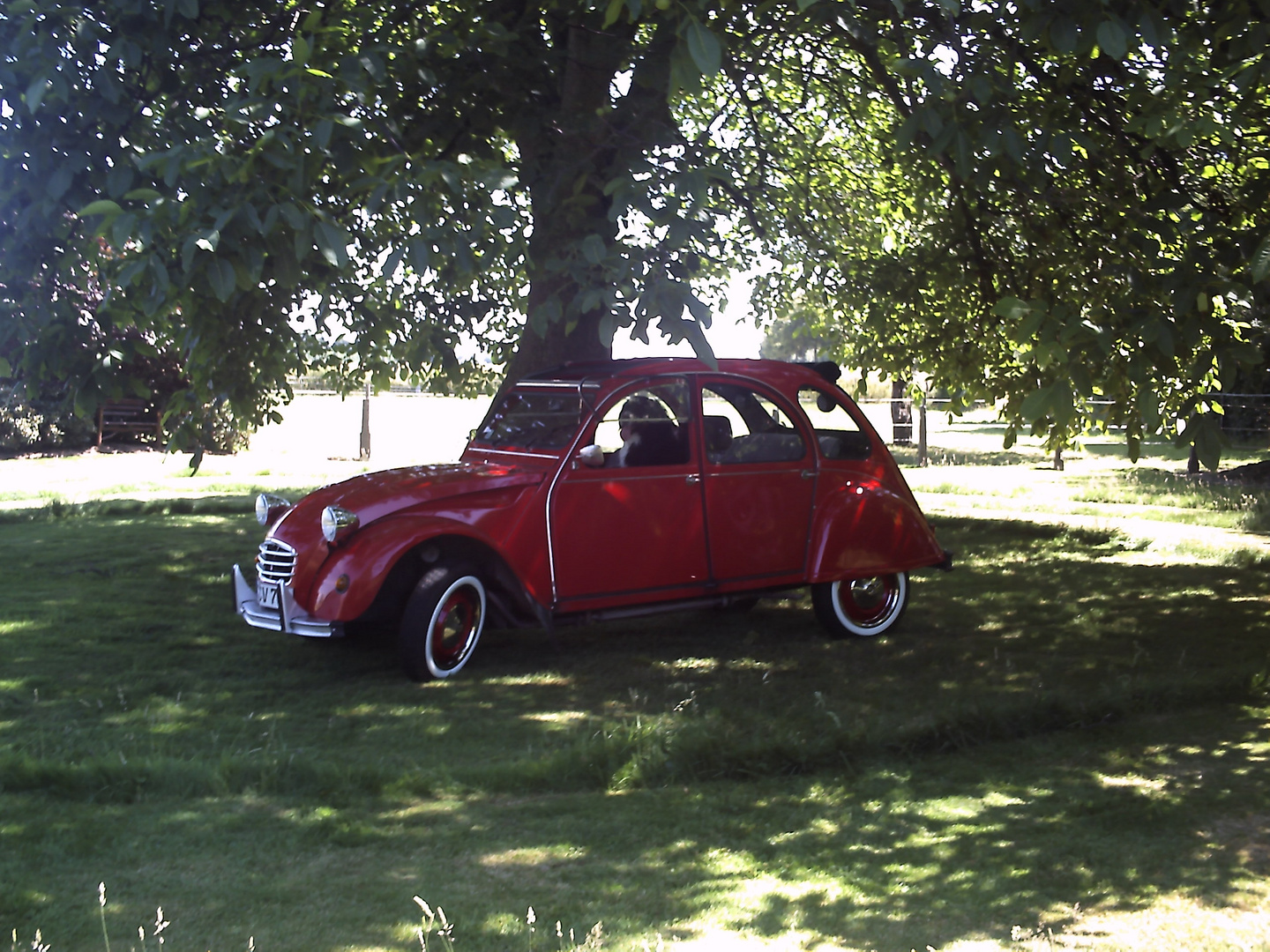 2cv