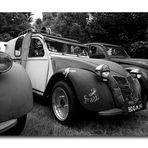 2CV - Treffen sw