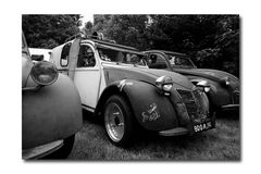 2CV - Treffen sw