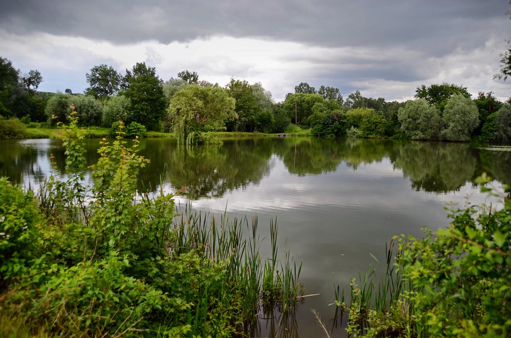 Anglersee von gerda schmid