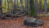 Am Wanderweg von Reinhard Zühlke