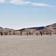 Deadvlei Namibia II