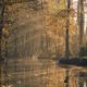 Spreewald im November