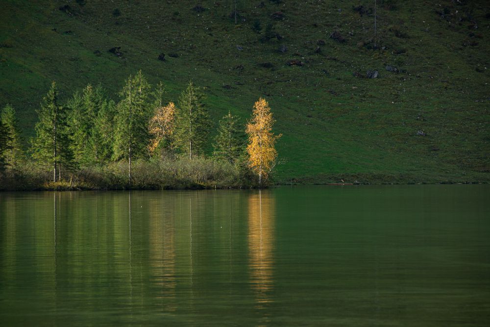 Goldener Baum von Antonio Spiller