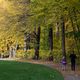 Herbstspaziergang in Chemnitz IV