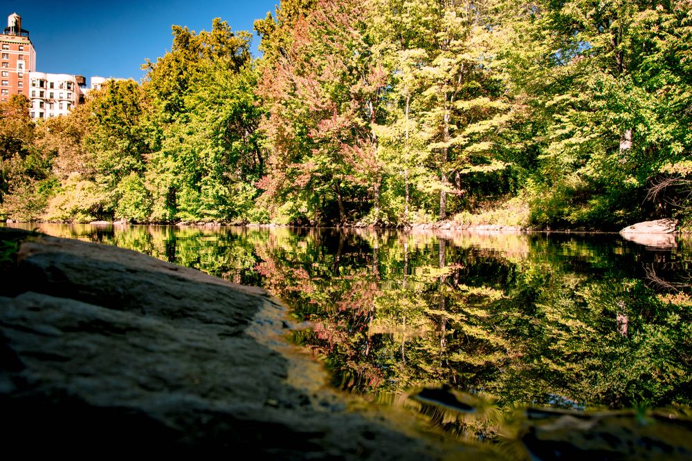 New York Central Park the Pool von Marcel Brose