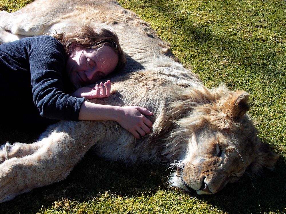 Wilde Tierfreundschaft von Peter Windhövel 