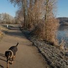 2s. vor Aufnahme! Hund über sich und Ruhr: "psyché, Fließen und Schnüffeln im Einklang. Wir beide!"