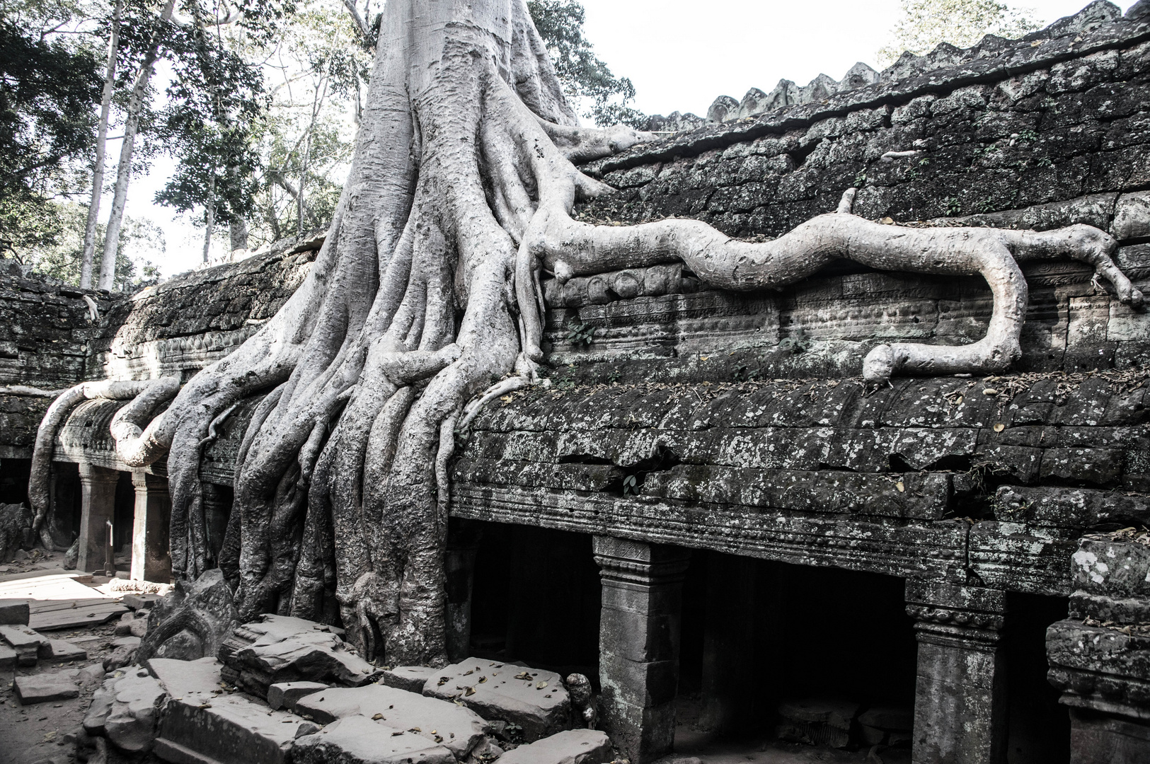 #2_TaProhm