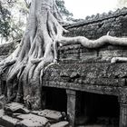 #2_TaProhm