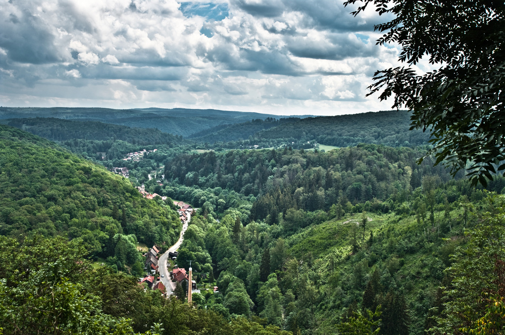 2.Wanderung im Harz (Altenbrak)