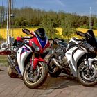 2x Honda Fireblade am Yachthafen Seedorf