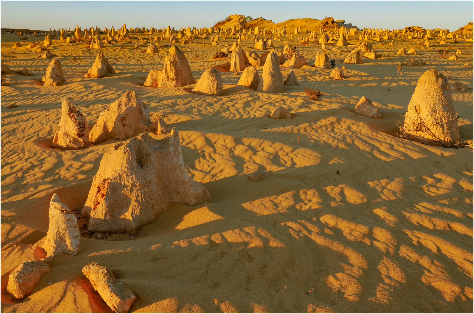 "2x täglich zu den Pinnacles" - West Australien, 2008