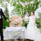 3... 2... 1... Liftoff! – Hochzeitstauben