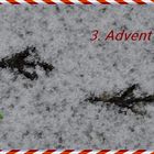 *** 3. Advent ***