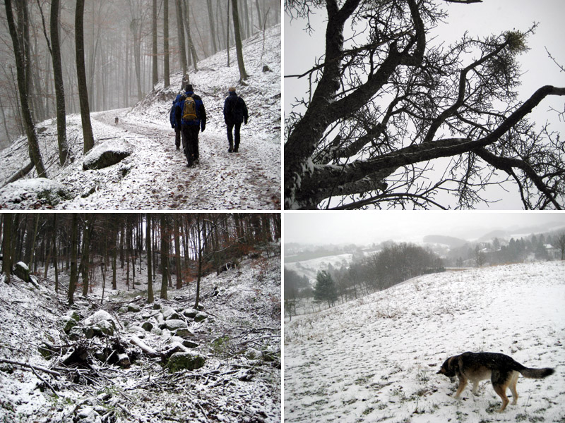 3.-advent-wanderung im odenwald (es hat geschneit!)