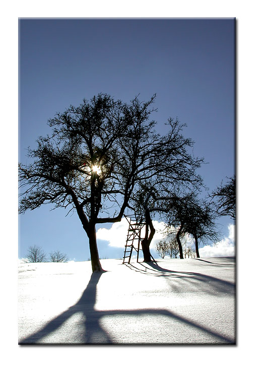 3 armiger Schatten