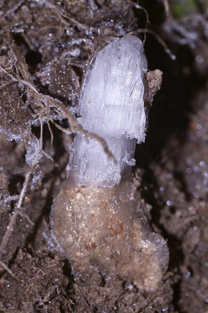 (3) Auflösung des Sonntagabend-Rätsels von gestern: PEBBLE ICE