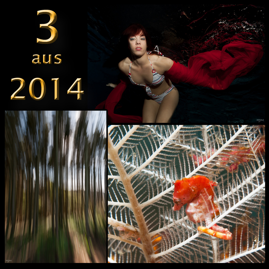 3 aus 2014