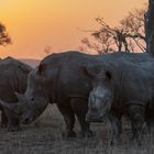 3 beim Sonnenuntergang