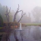 3. Bild Herbst, Bad Klosterlausnitz-Park