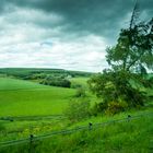 3 Blick aus dem Busfenster