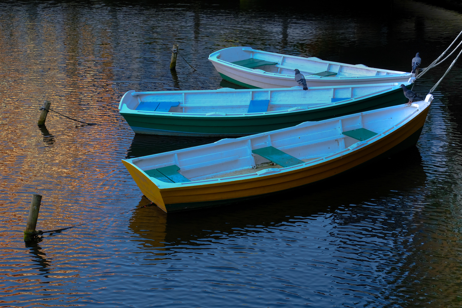 3 Boote, 3 Tauben, 3 Pfähle 