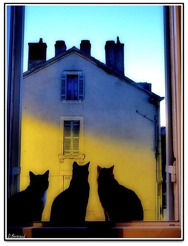 3 chats