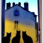 3 chats