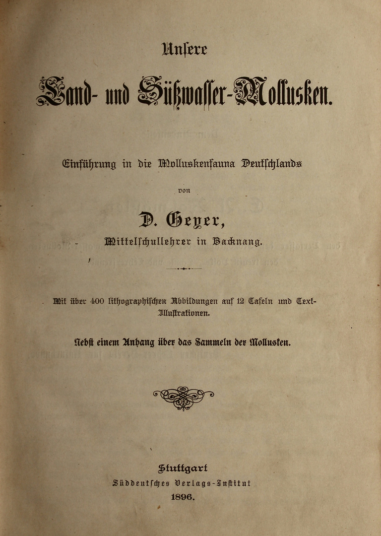 (3) Der "Schneckenmann" David Geyer (Köngen 6.11.1855 - 6.11.1932 Stuttgart)