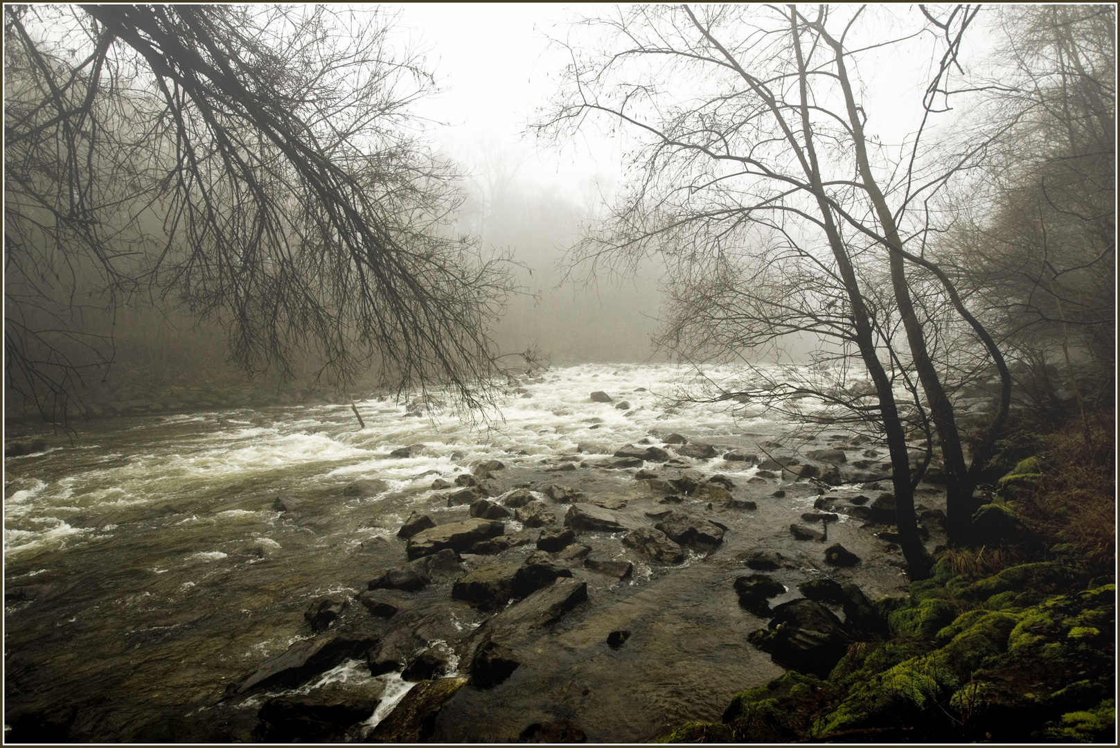 3 Die Argen im Nebel