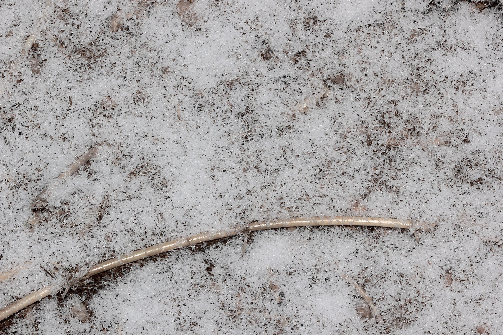 (3) Eisnadeln als Schnee und nadelförmiger Raureif ...