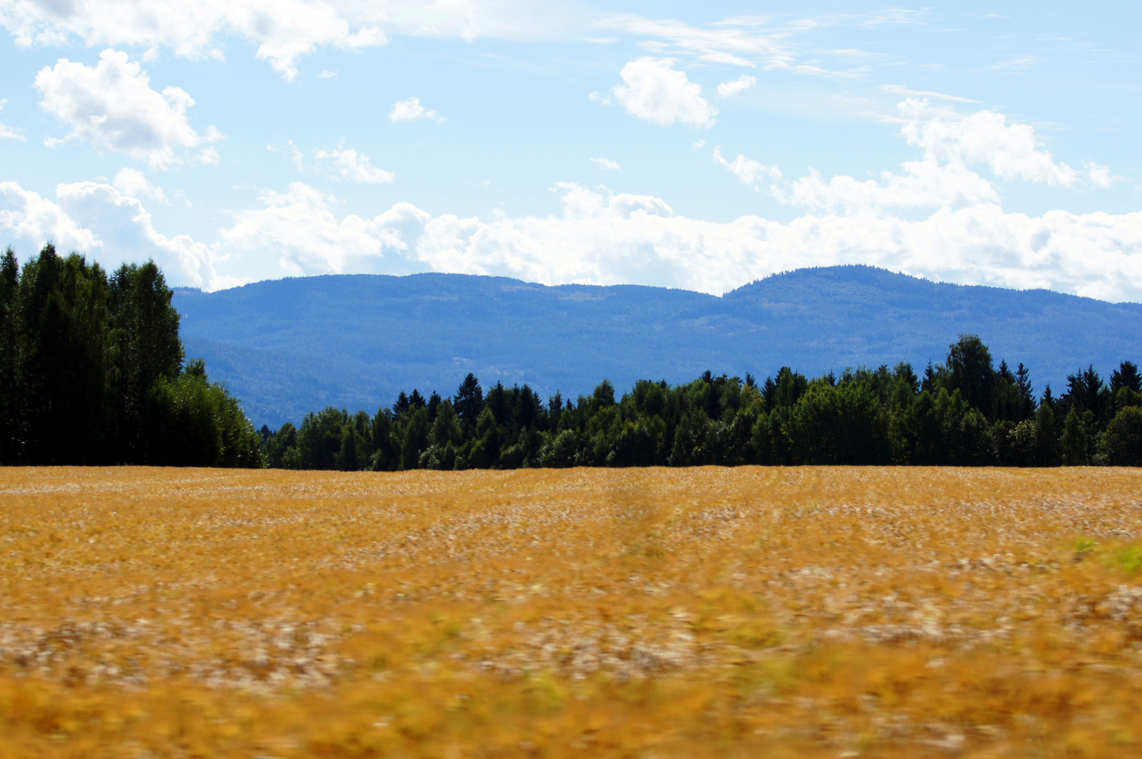 3 Farben Landschaft