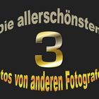 3 Favoriten anderer FotografInnen