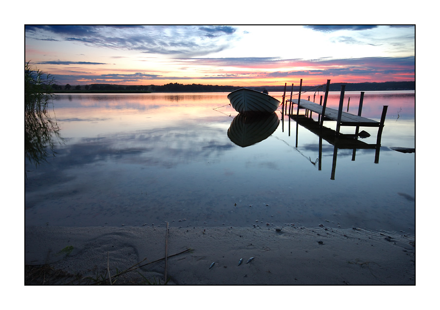 3 Fische am Strand