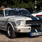 3 Ford US-Car Meeting_06