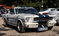 3 Ford US-Car Meeting_06