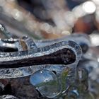 3. Foto: Vom Brunnen angespritztes Gras bei Minustemperaturen. - Sous l'éclaboussure l'herbe gèle...