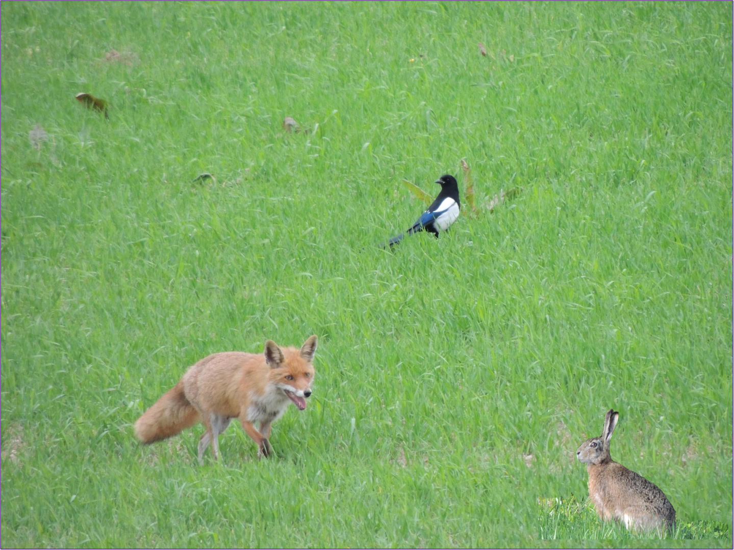 3 Freunde oder ...