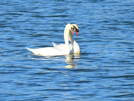 3 Frühlingserwachen, spring awakening, despertar la primavera