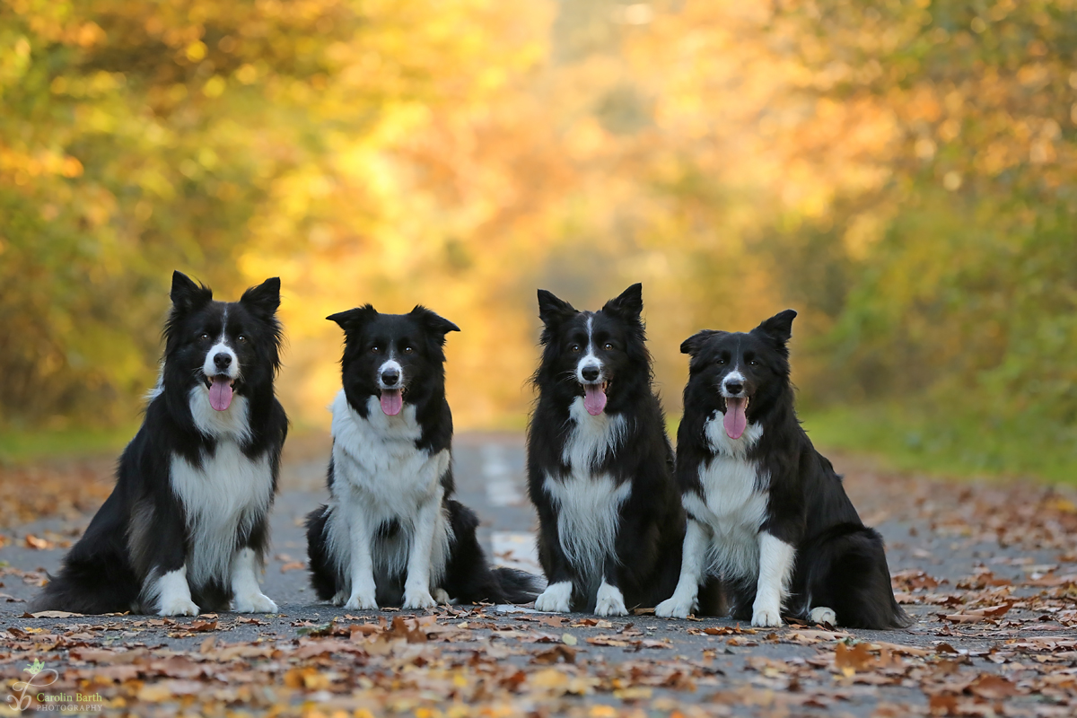 3 Generationen