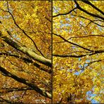 3. Herbstfarben - Kreuzblick