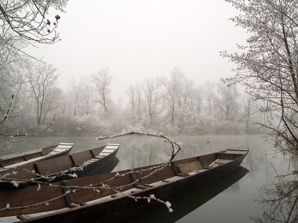 3 Holzboote am Rhein