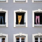 3 Hosen am Fenster