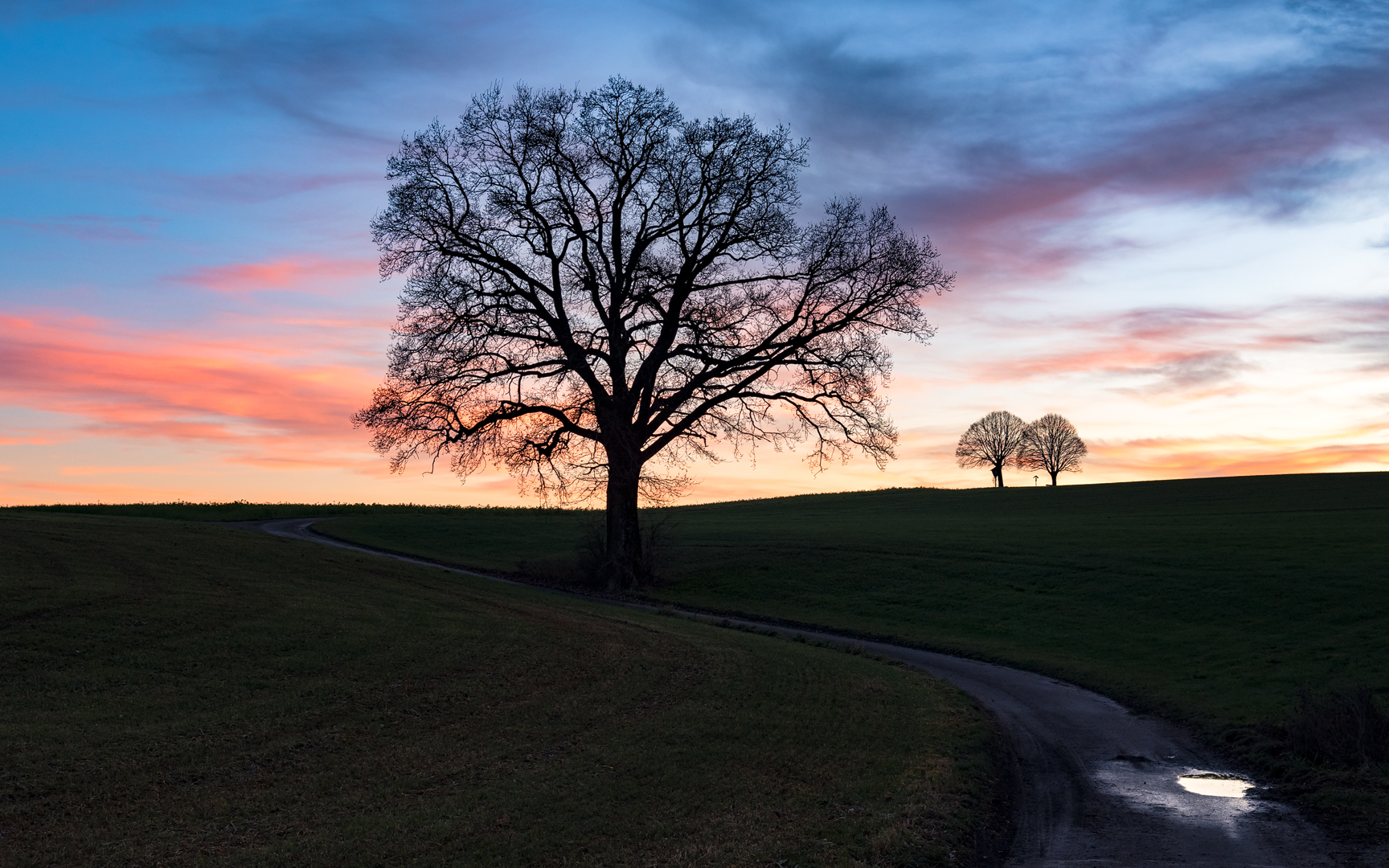 3 im Abendlicht