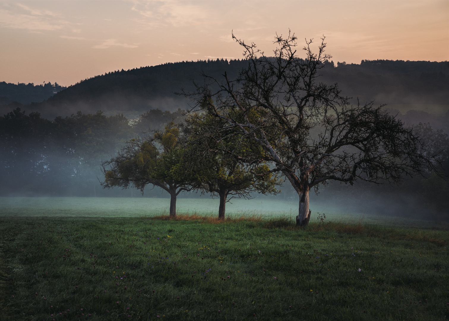 3 im Nebel