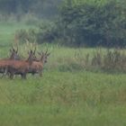 3 junge Spießer am Morgen (1 von 1)