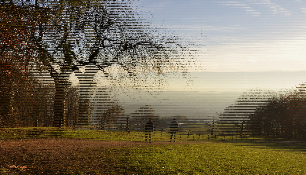 3. _ Juraweid / Biberstein / Kt. Aargau / Schweiz