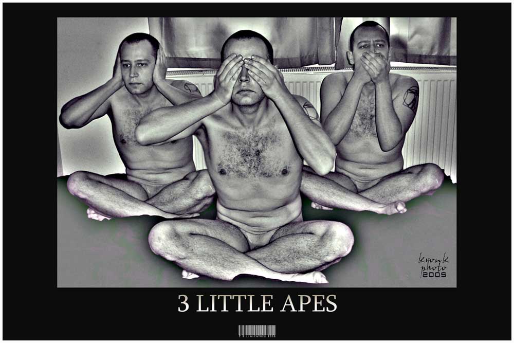 :::3 little Apes"